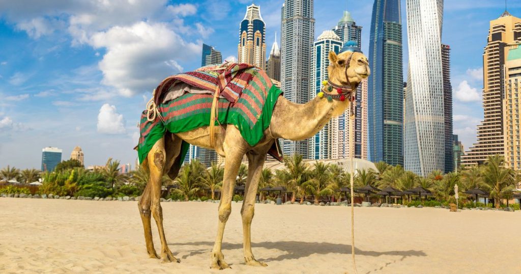 Visit Dubai Affordable Trip