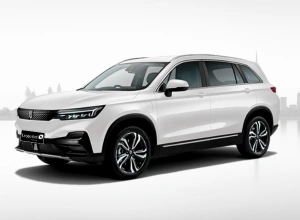 Skywell EV Car REntal