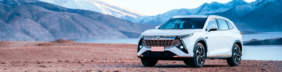 Personal Leasing Dubai UAE